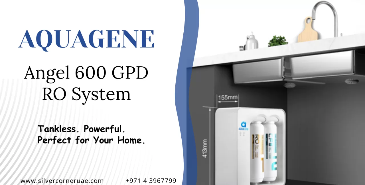 Tankless RO system for home