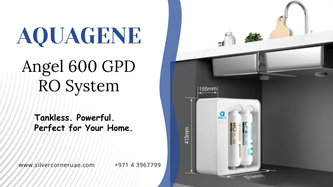 Tankless RO system for home