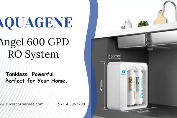 Tankless RO system for home